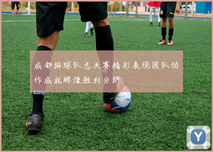 成都排球队总决赛精彩表现团队协作成就辉煌胜利分析