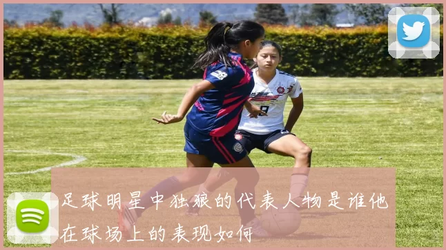 足球明星中独狼的代表人物是谁他在球场上的表现如何