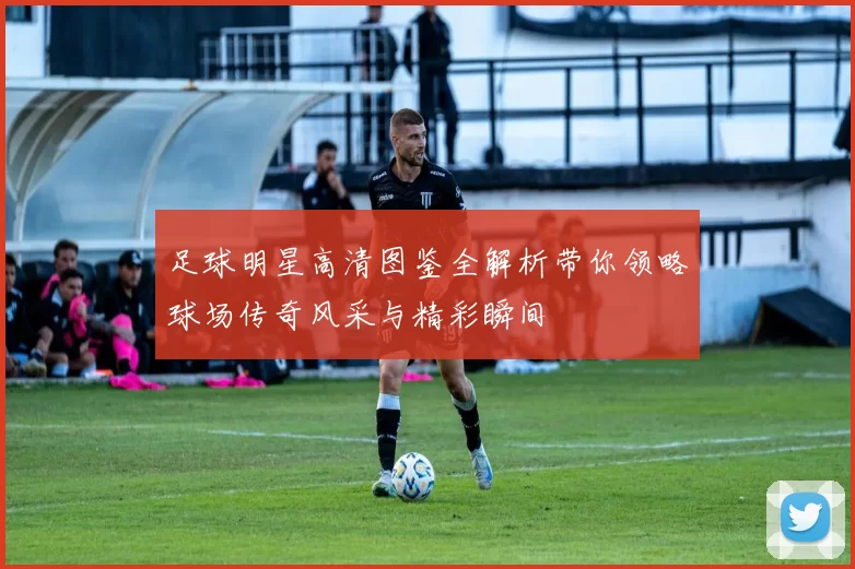 足球明星高清图鉴全解析带你领略球场传奇风采与精彩瞬间