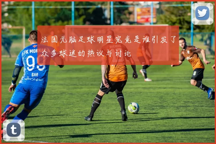 法国无脑足球明星究竟是谁引发了众多球迷的热议与讨论