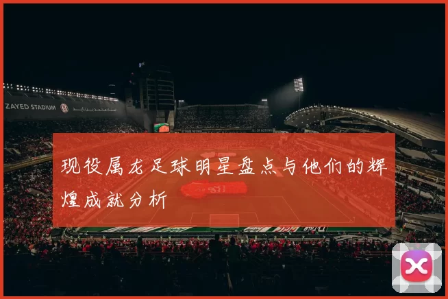 现役属龙足球明星盘点与他们的辉煌成就分析