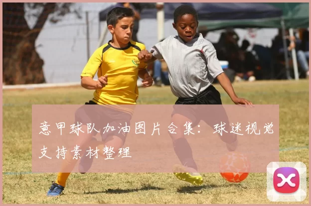 意甲球队加油图片合集：球迷视觉支持素材整理