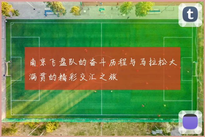 南京飞盘队的奋斗历程与马拉松大满贯的精彩交汇之旅