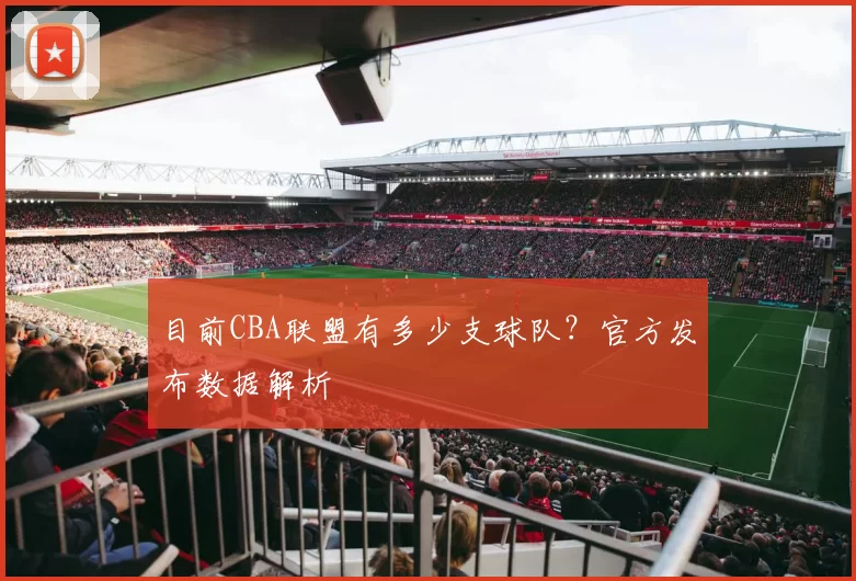 目前CBA联盟有多少支球队？官方发布数据解析