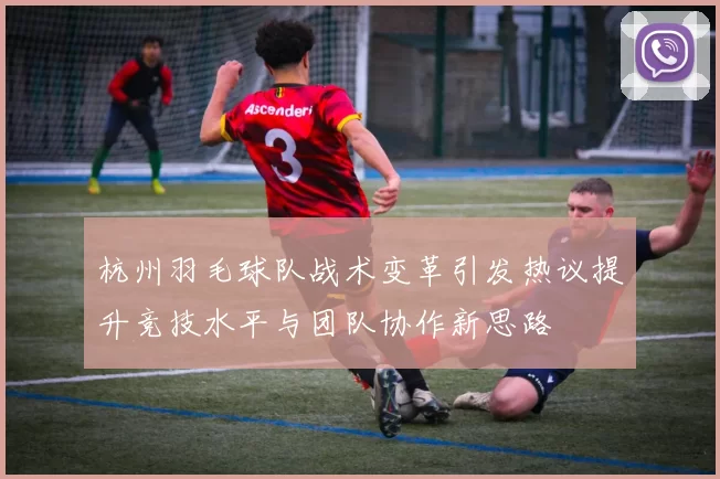杭州羽毛球队战术变革引发热议提升竞技水平与团队协作新思路