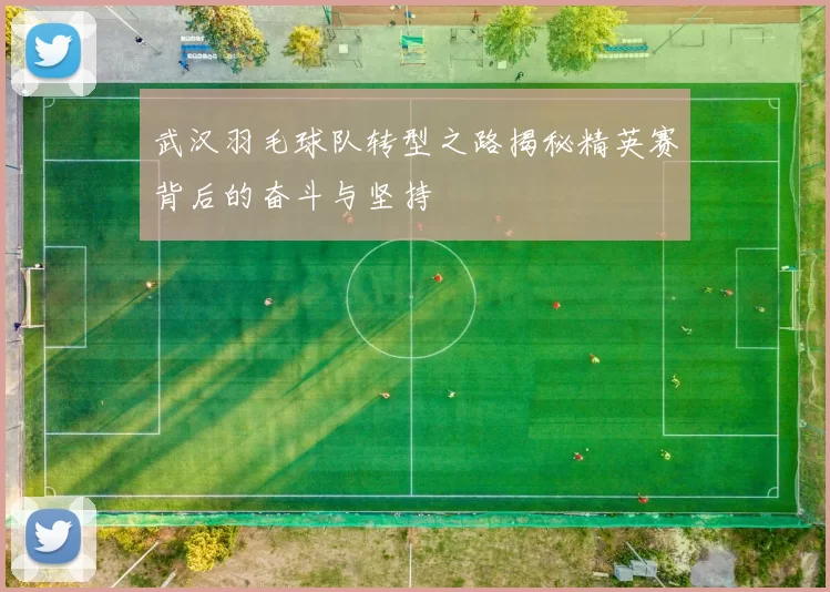 武汉羽毛球队转型之路揭秘精英赛背后的奋斗与坚持