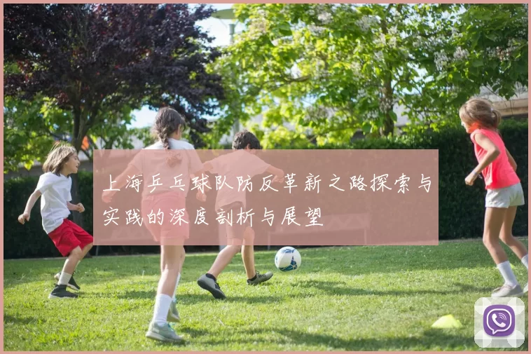 上海乒乓球队防反革新之路探索与实践的深度剖析与展望
