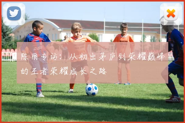 陈丽专访：从初出茅庐到荣耀巅峰的王者荣耀成长之路