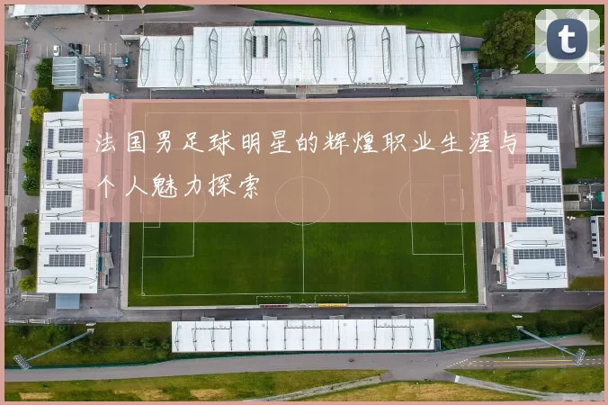 法国男足球明星的辉煌职业生涯与个人魅力探索
