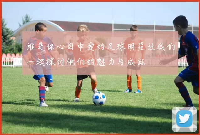 谁是你心目中爱的足球明星让我们一起探讨他们的魅力与成就